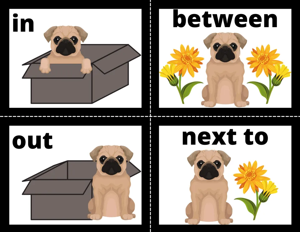Preposition flash cards 1–4: in, between, out, and next to, illustrated by pugs with a box or flowers