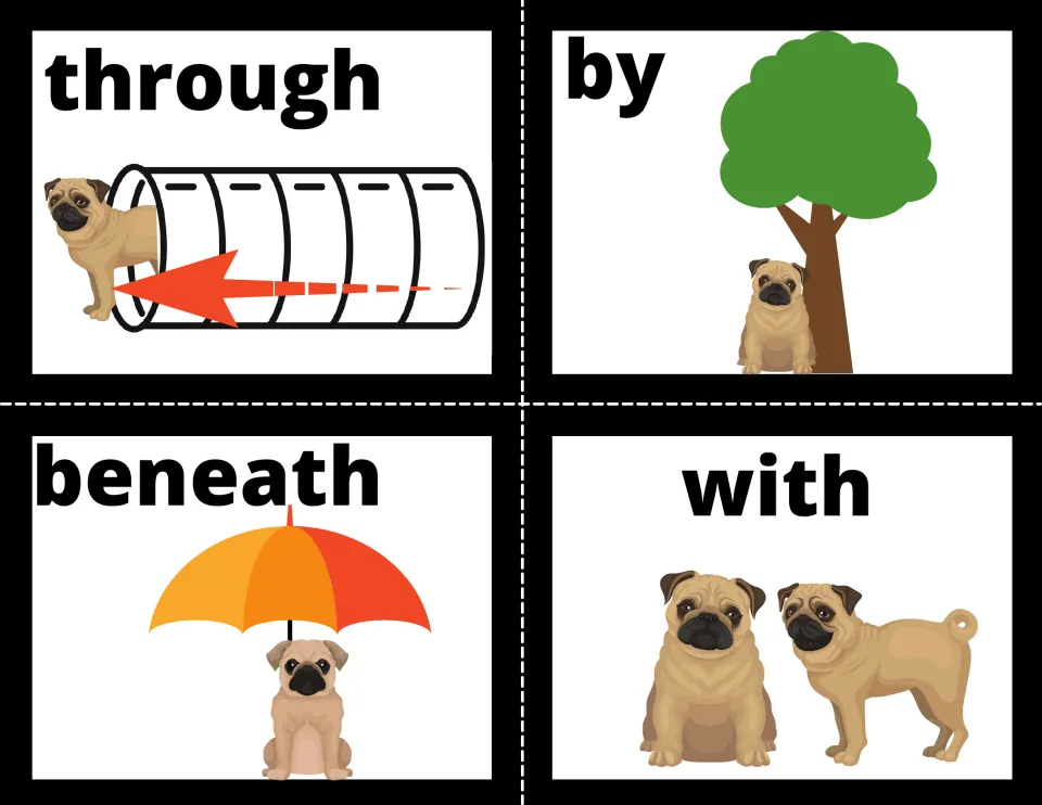Preposition flash cards 25–28: through, by, beneath, and with, showing pugs, a tunnel, tree, and umbrella