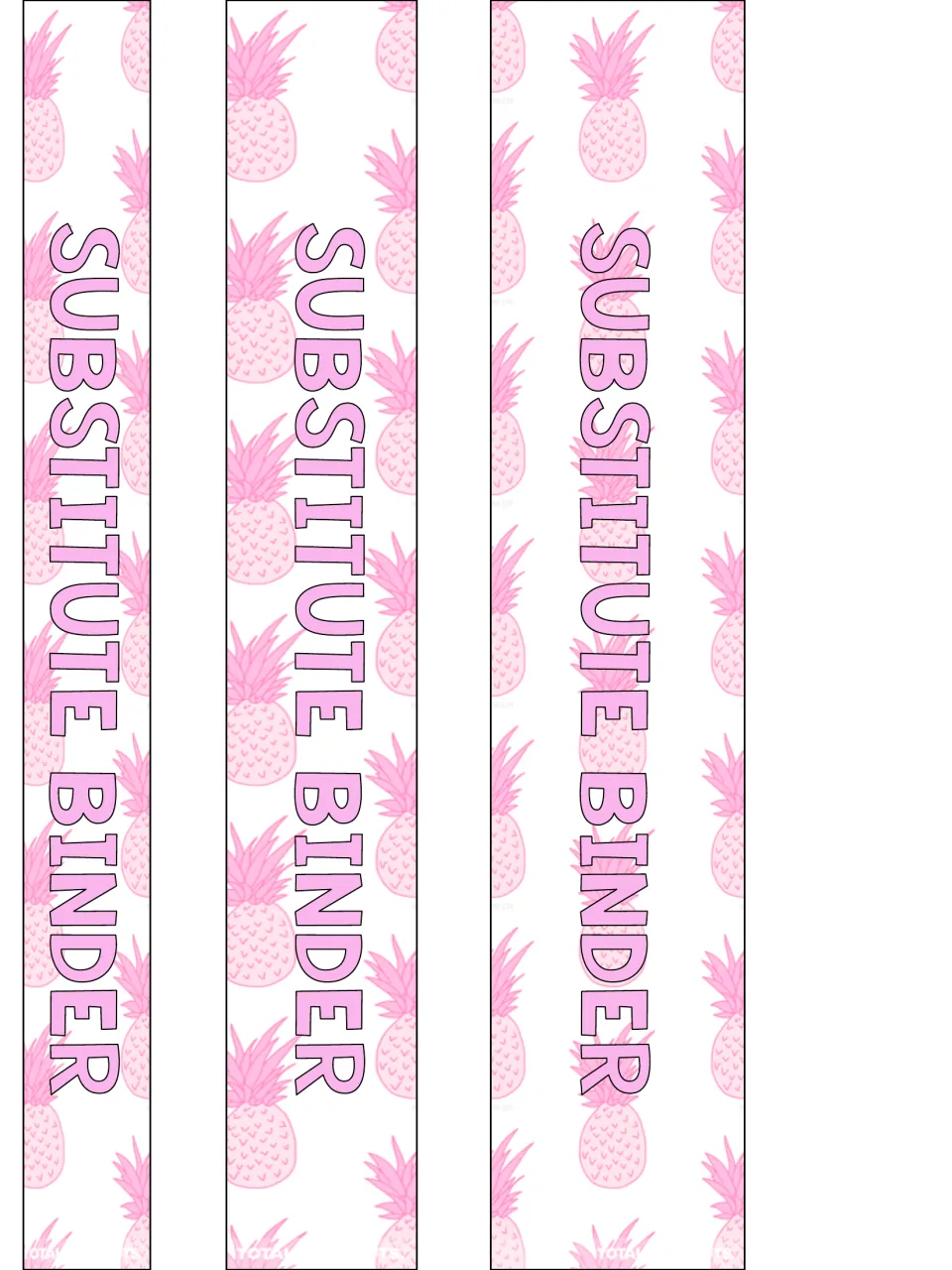Three substitute binder spine labels in different widths, each displaying the words 'SUBSTITUTE BINDER'