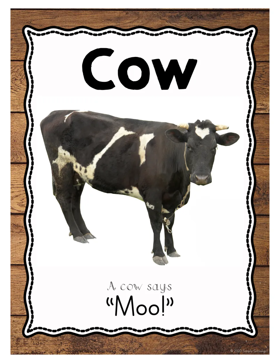 Cow: photo of a black and white cow with the line 'A cow says Moo!' for naming the animal and practising its sound