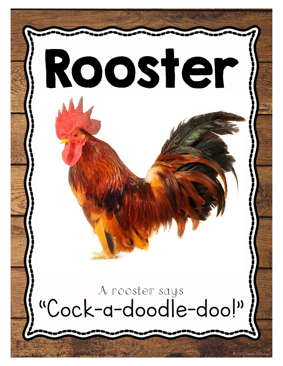 Rooster: photo of a red and orange rooster with 'A rooster says Cock-a-doodle-doo!' for naming the bird and its crow