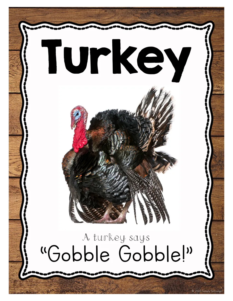 Turkey: photo of a dark-feathered turkey with a red wattle and 'A turkey says Gobble Gobble!' to name it and mimic its call