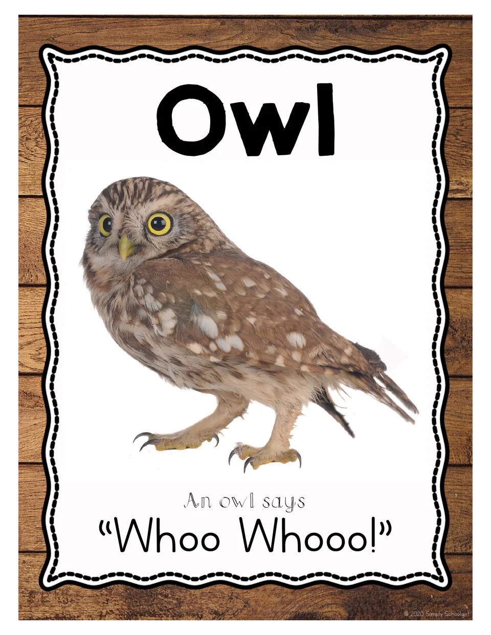 Owl: photo of a small brown spotted owl with yellow eyes and 'An owl says Whoo Whooo!' to name the bird and copy its hoot
