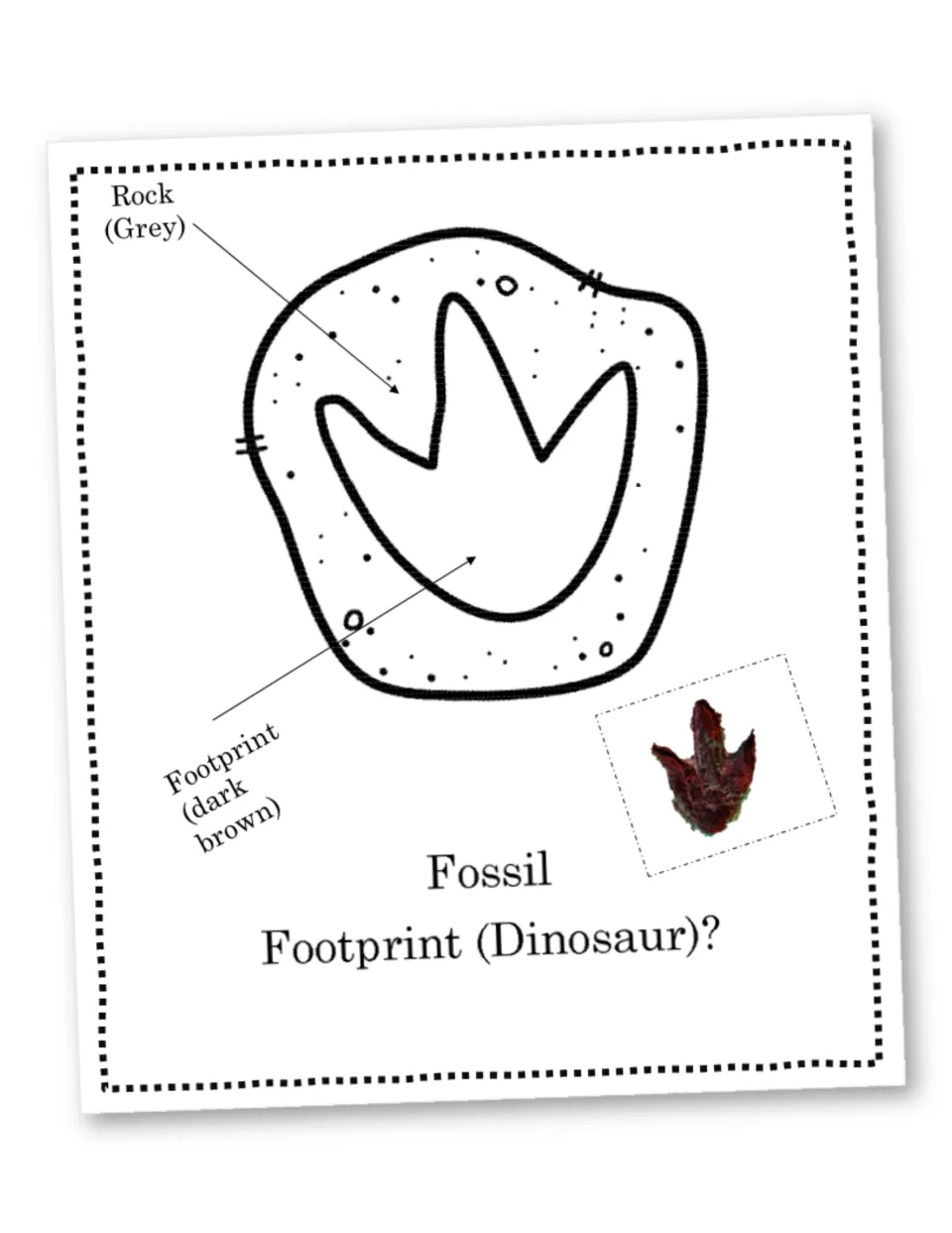 Dinosaur footprint fossil: students color the footprint dark brown and the surrounding rock grey, using a photo as a guide