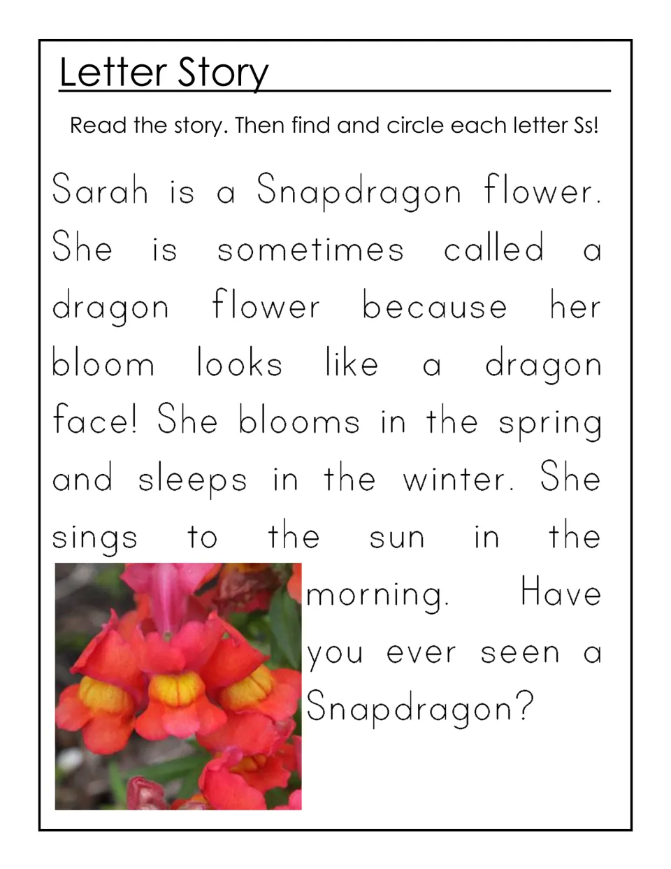 Letter Story about Sarah the Snapdragon flower: students read the story, then find and circle each letter S and s
