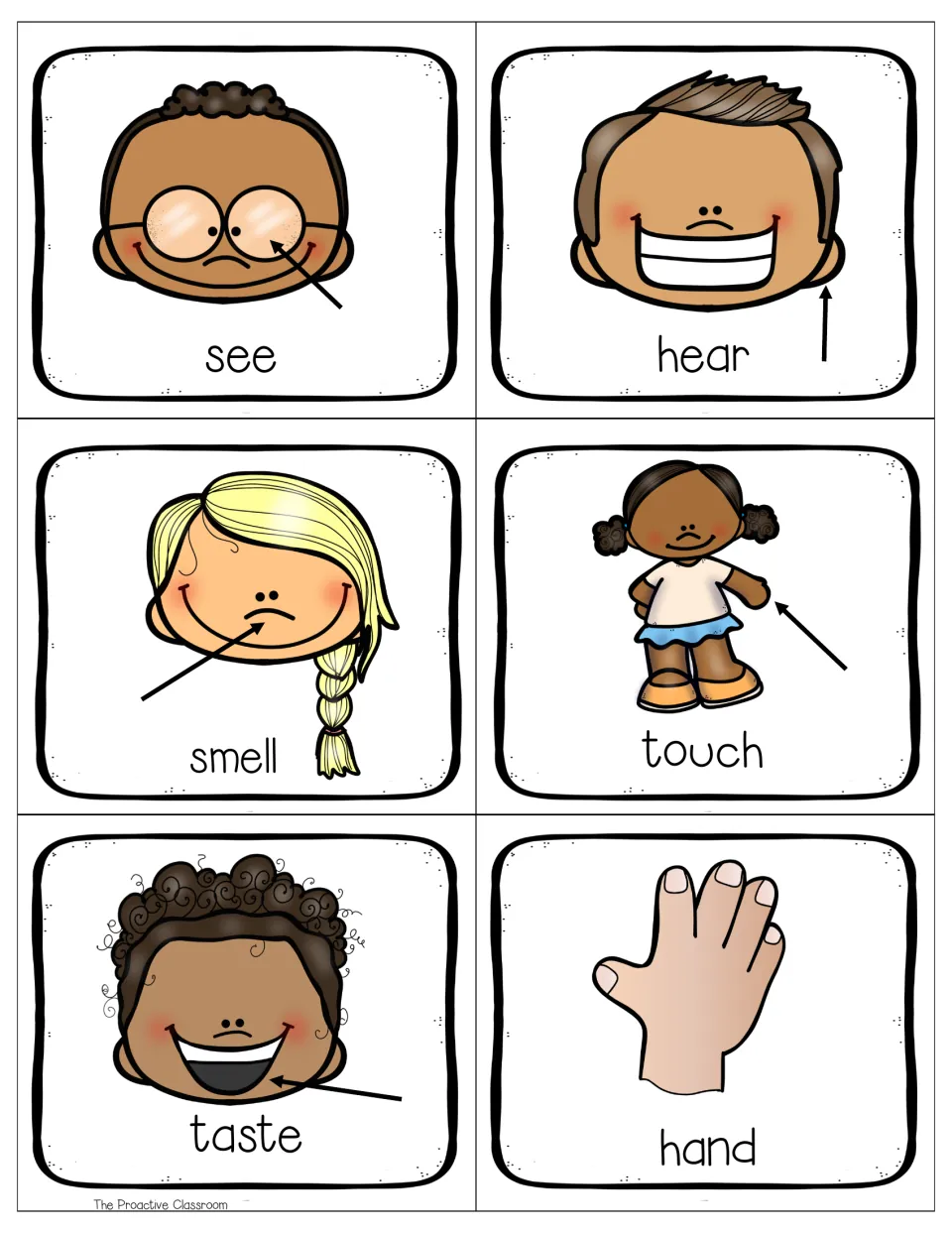 Color sense vocabulary cards: see, hear, smell, touch and taste with arrows to body parts, plus a hand card