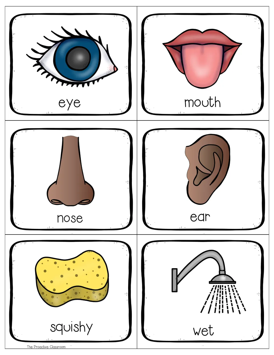 Color word cards for body parts eye, mouth, nose and ear, plus describing words squishy (sponge) and wet (shower)
