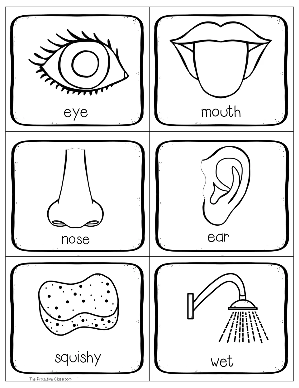 Black and white word cards for eye, mouth, nose and ear, plus squishy sponge and wet shower line drawings