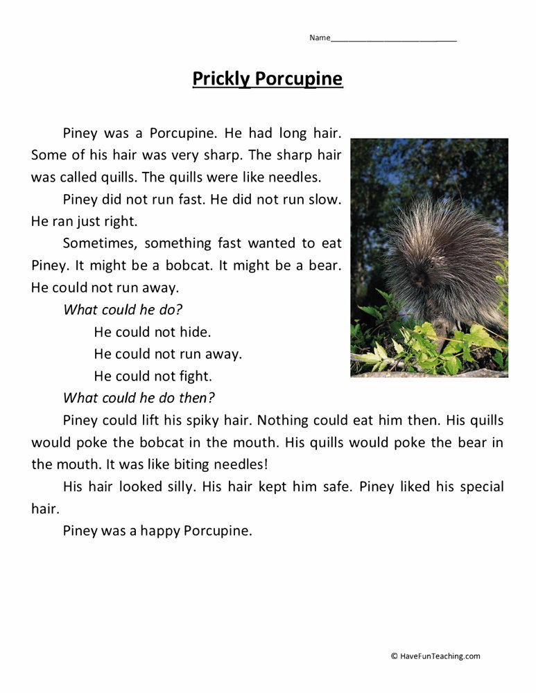 Prickly Porcupine Reading Comprehension Worksheet teaching resource preview