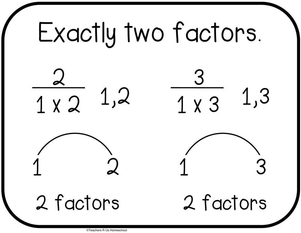 Prime cut-out, exactly two factors: 2 as 1 x 2 and 3 as 1 x 3, with rainbow arcs linking 1 to 2 and 1 to 3