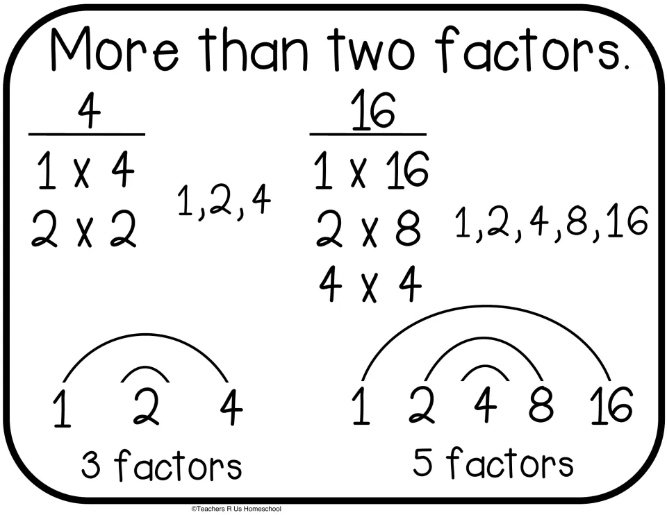 Composite cut-out, more than two factors: 4 has 1, 2, 4 and 16 has 1, 2, 4, 8, 16, each paired with rainbow arcs