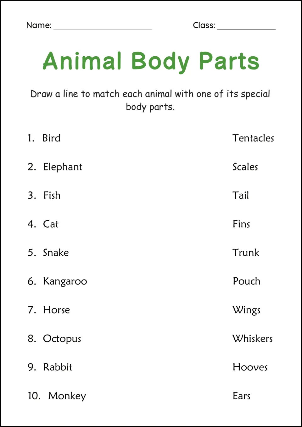Animal body parts matching: students draw lines to pair 10 animals, such as elephant and kangaroo, with trunk, pouch and more