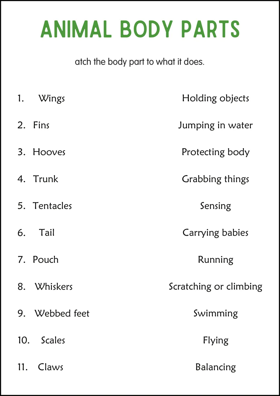 Animal body parts function match: students pair 11 parts, like webbed feet and pouch, with jobs such as swimming or flying