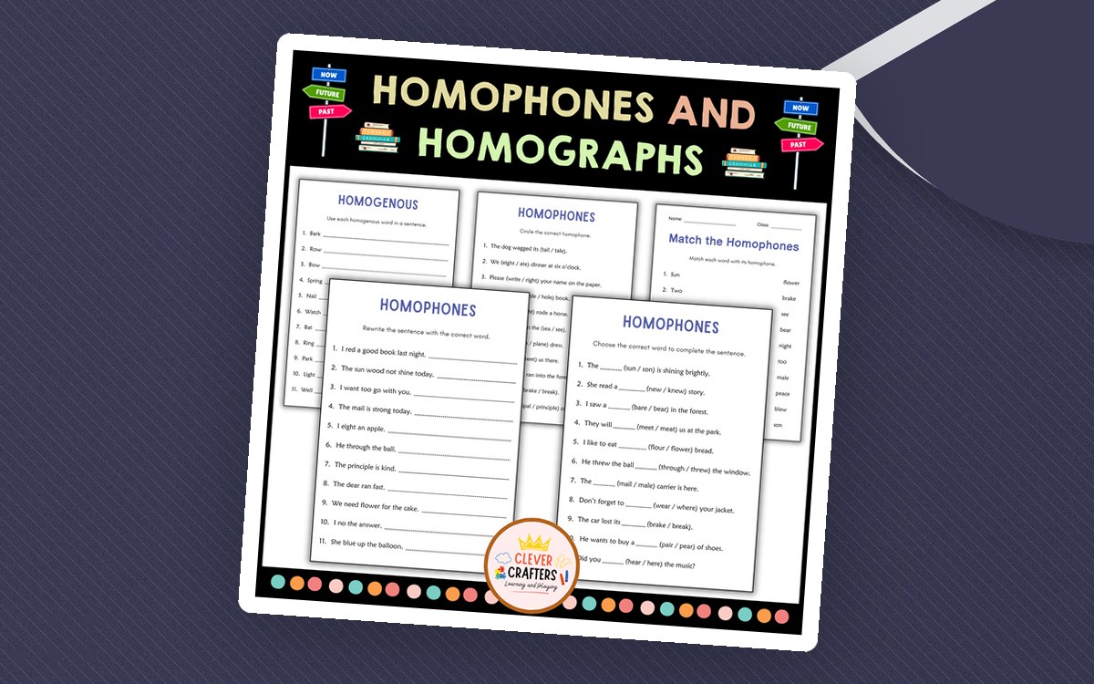 Printable Homophones and Homographs Grammar Worksheets for 1st 2nd 3rd teaching resource preview