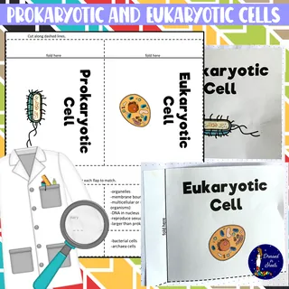 Prokaryotic and Eukaryotic Cells Worksheets – sample page 3
