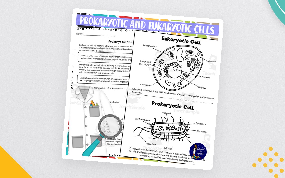 Prokaryotic and Eukaryotic Cells Worksheets preview: Prokaryotic cells reading passage