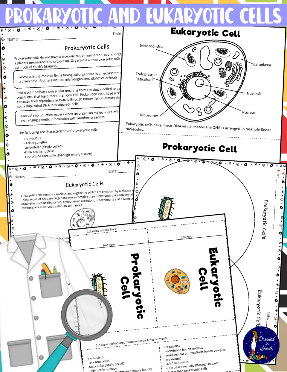 Cover showing prokaryotic and eukaryotic reading pages, labelled cell diagrams, a Venn diagram and a fold-up flap activity