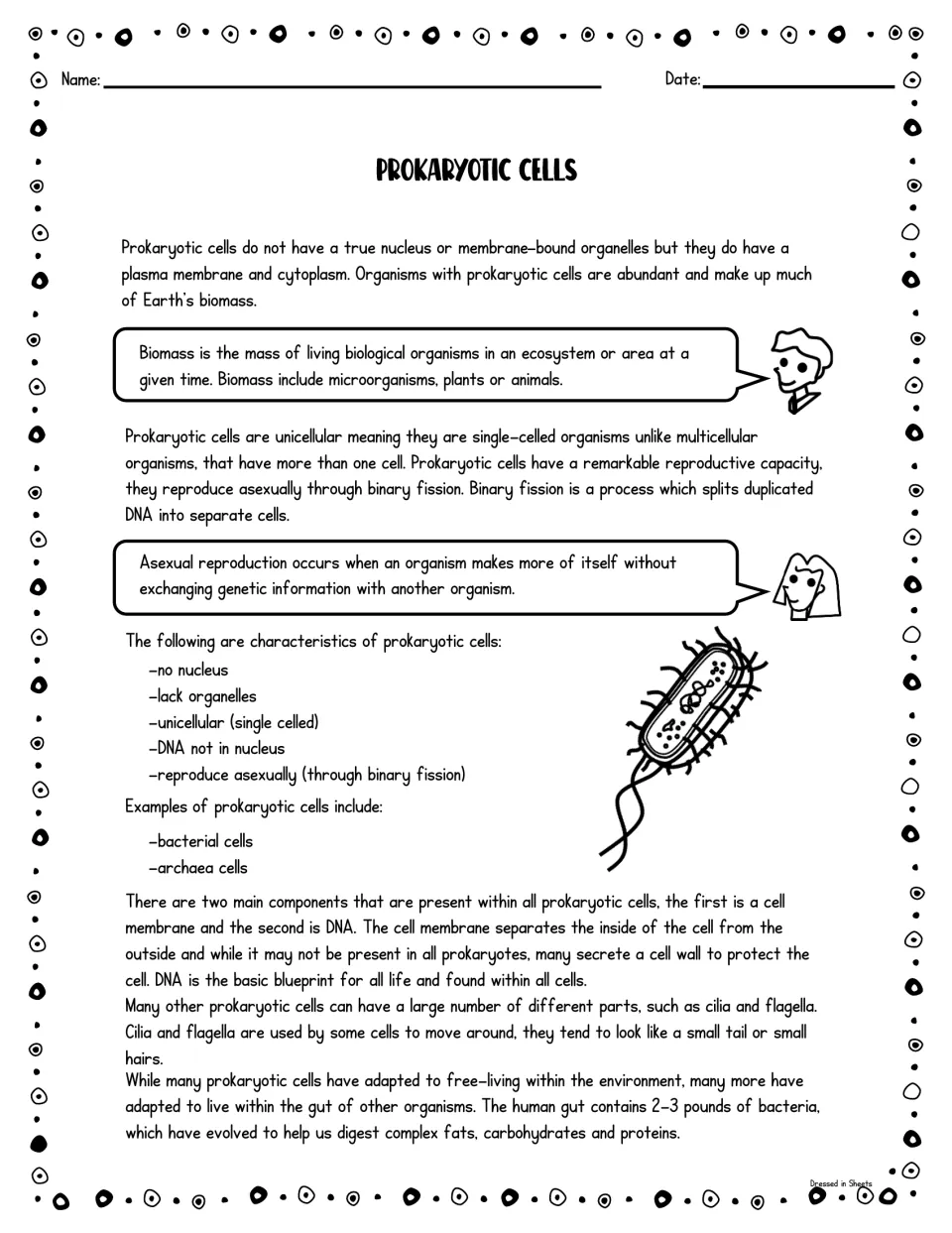 Prokaryotic cells reading: no nucleus, binary fission, biomass and examples such as bacteria and archaea, with a cell sketch