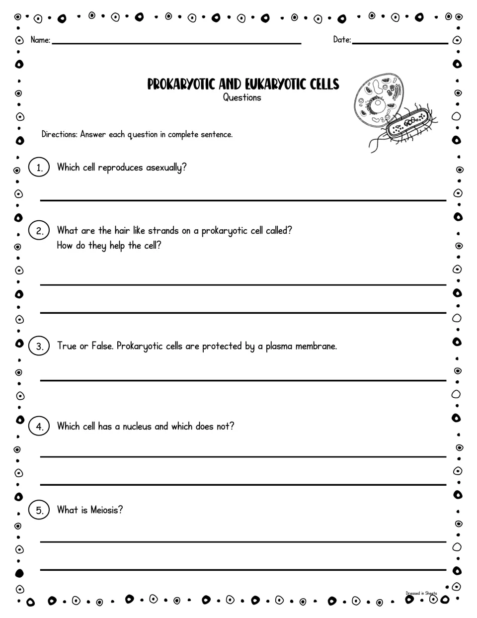 Cell comprehension questions: students answer five items on asexual reproduction, hair-like strands, the nucleus and meiosis