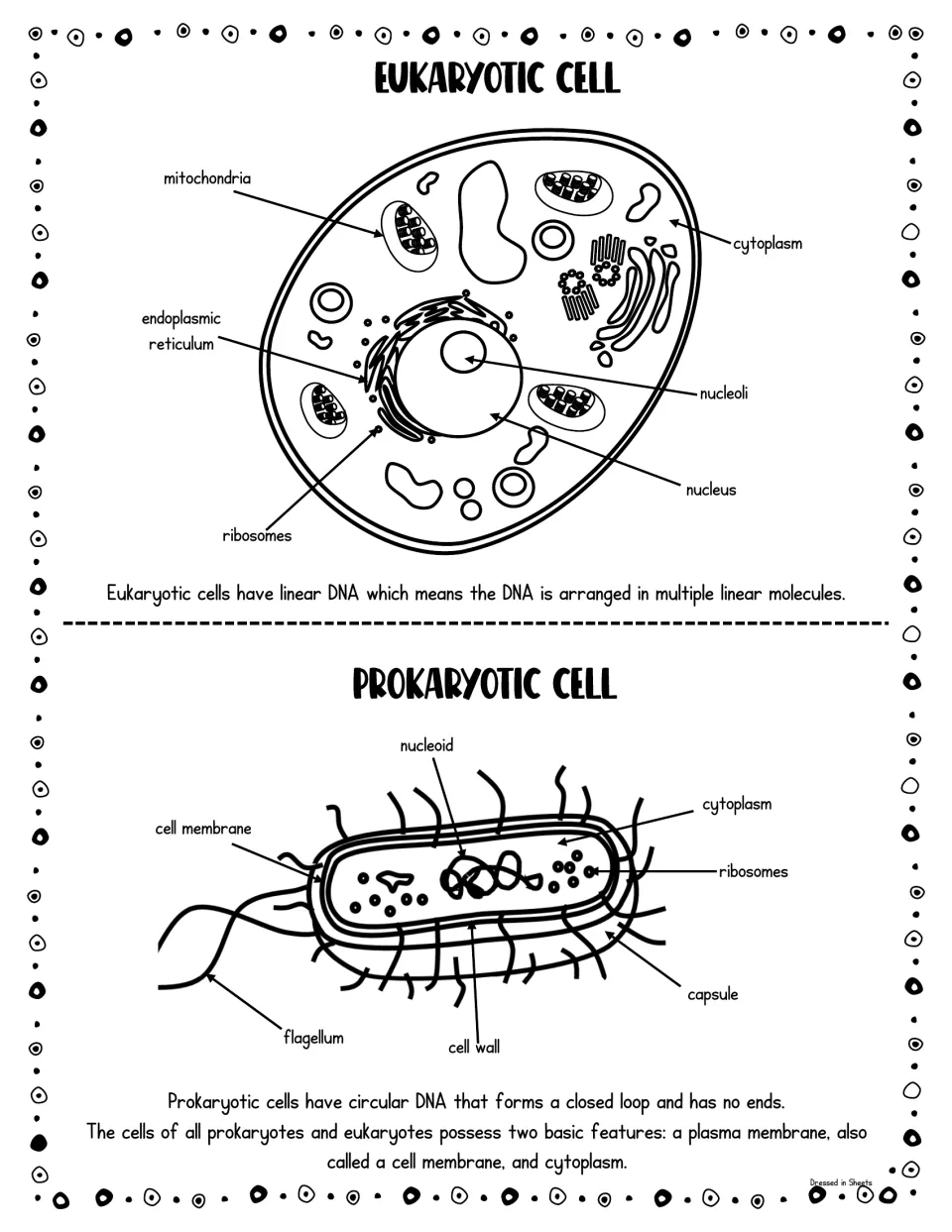 Labelled eukaryotic and prokaryotic cell diagrams naming mitochondria, nucleus, ribosomes, nucleoid, flagellum and cell wall