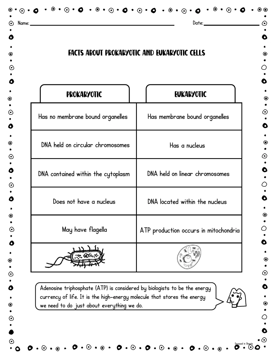 Prokaryotic vs eukaryotic facts chart contrasting nucleus, organelles, circular vs linear DNA, flagella and ATP production