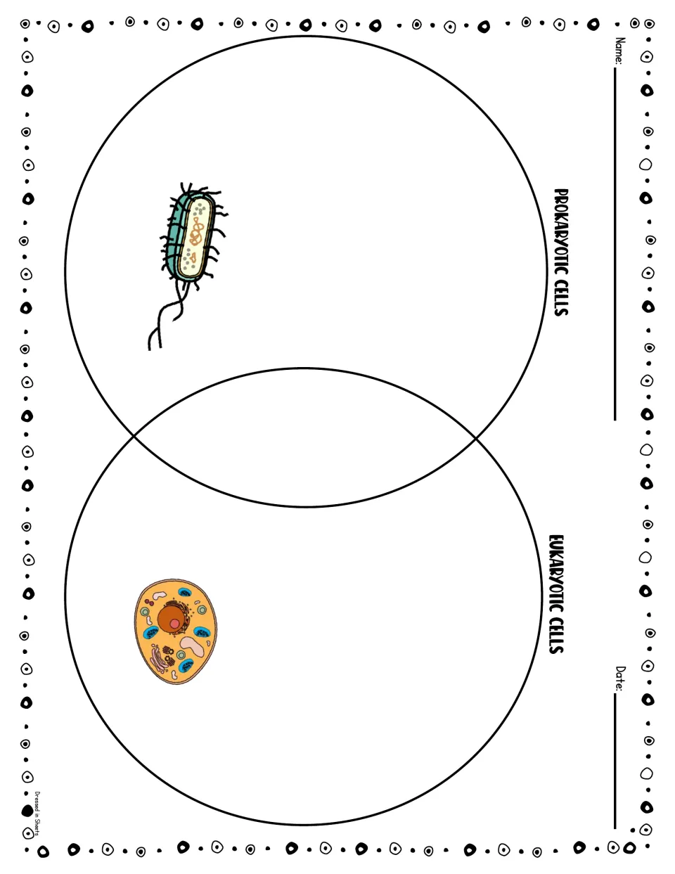 Venn diagram comparing prokaryotic and eukaryotic cells: students record shared and unique traits of each