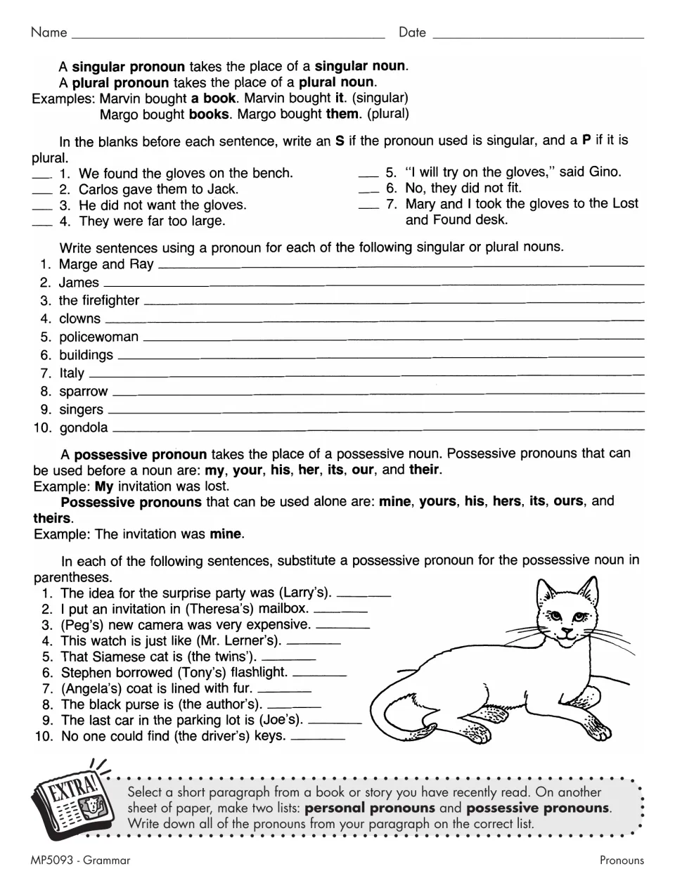 Singular, plural and possessive pronouns: students label S or P, write sentences and swap possessive nouns for pronouns
