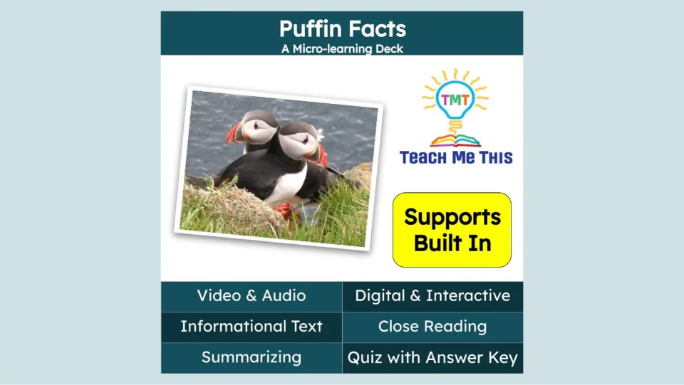 Puffin Facts cover identifies a micro-learning deck with video, audio, reading, summarizing, and a quiz.
