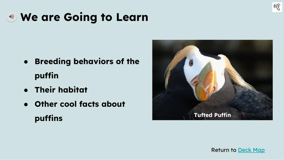 Learning goals introduce puffin breeding behaviors, habitat, and other facts beside a labeled tufted puffin.