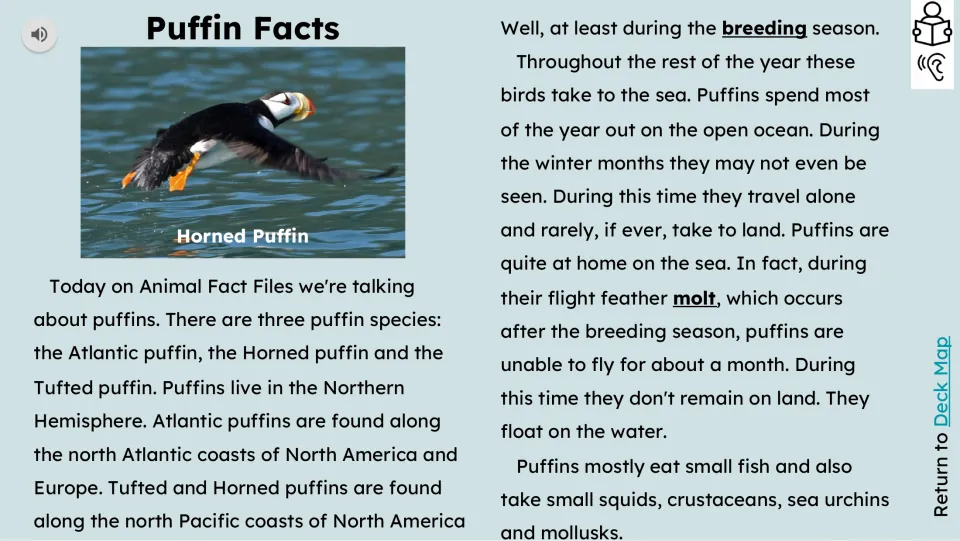 Reading passage introduces three puffin species and describes their ranges, life at sea, molt, and diet.