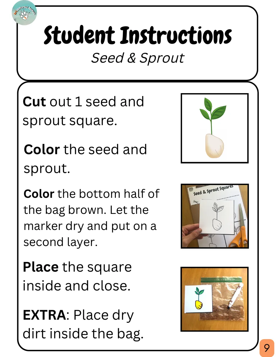 Seed & Sprout student steps: cut out a square, color it, color a bag brown, seal the square inside; photos show each step