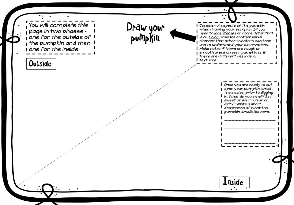 Pumpkin observation drawing sheet asks students to show the outside and inside and describe its smell