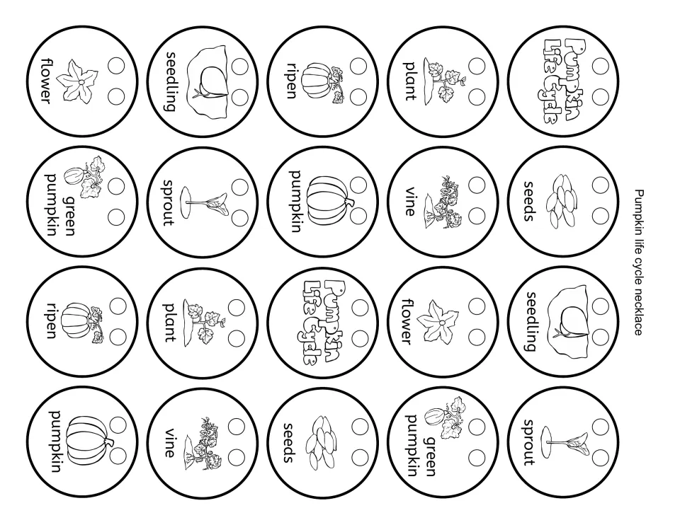 Life cycle necklace beads: 20 circles to color, cut and hole-punch, each naming a stage such as seeds, sprout, vine or ripen