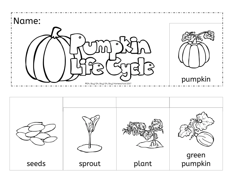 Lift-the-flap booklet: name and title strip with pumpkin, plus seeds, sprout, plant and green pumpkin picture flaps
