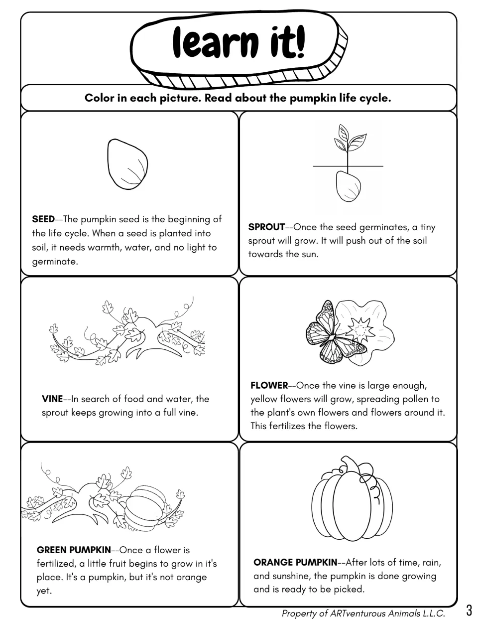 Learn it! reading and coloring page explains seed, sprout, vine, flower, green pumpkin, and orange pumpkin