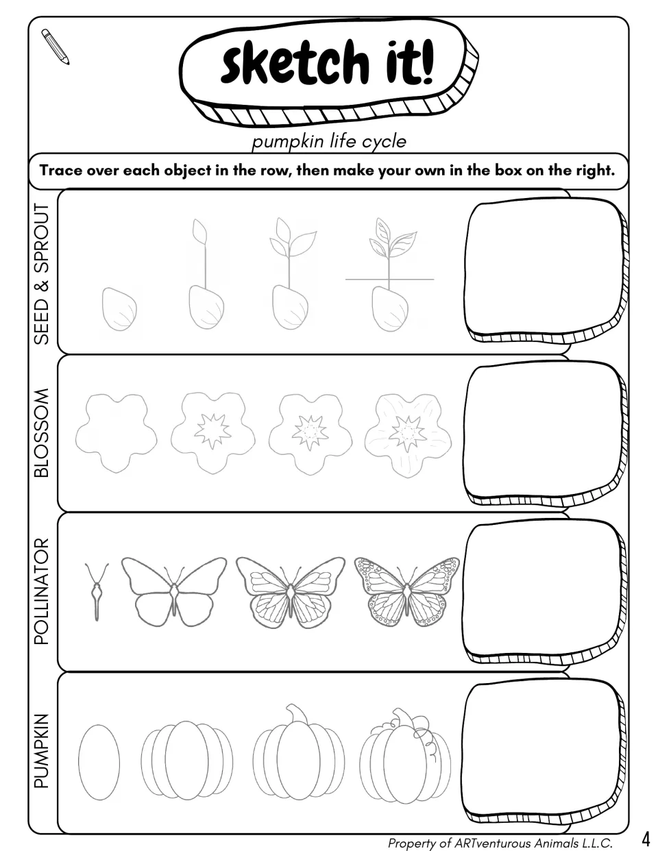 Sketch it! pumpkin life cycle drawing practice asks students to trace a sprout, blossom, pollinator, and pumpkin
