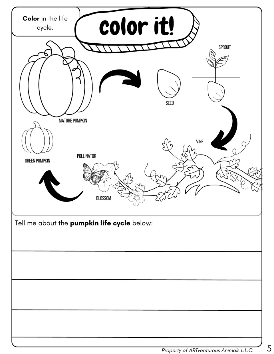 Color it! pumpkin life cycle diagram labels seed through mature pumpkin and asks students to write about the cycle