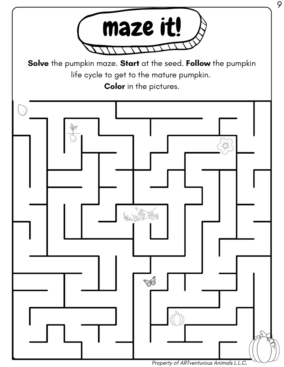 Maze it! pumpkin life cycle maze asks students to follow the stages from seed to mature pumpkin and color pictures
