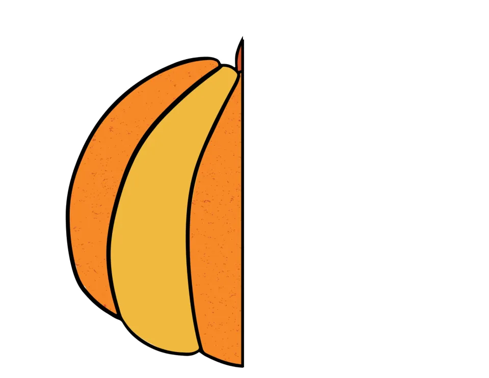 Colored left pumpkin half in orange and yellow, a cutout piece that completes the life cycle foldable