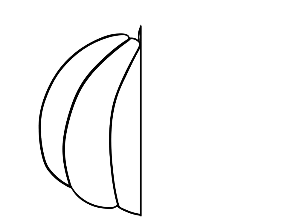 Black-and-white left pumpkin half, a cutout piece to color and pair with the foldable's right half