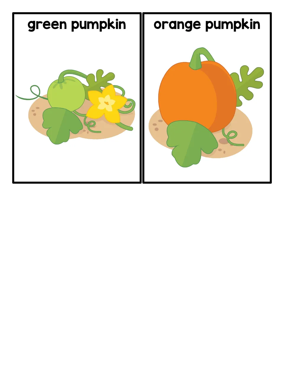 Pumpkin life cycle sequencing cards 5–6: green pumpkin and orange pumpkin, each shown growing on a vine