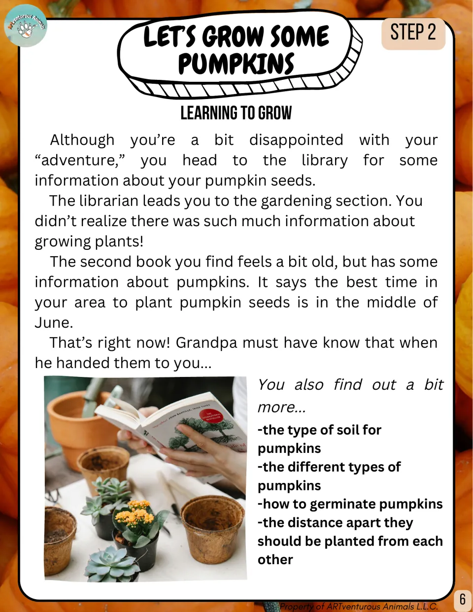 Step 2, Learning to Grow: story of a library visit to learn about soil, pumpkin types, germination and plant spacing
