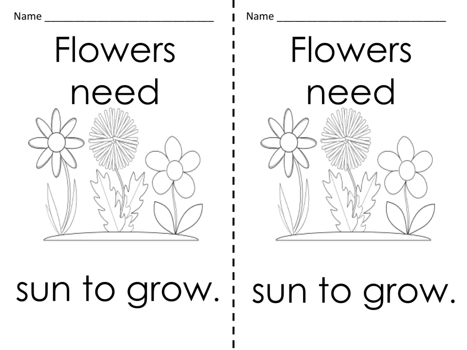 Flowers need sun to grow: two name cards with three flowers on the ground for students to read and outline by push pin