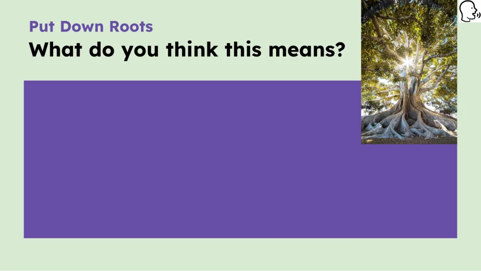 Opening figurative language prompt asks what the phrase means, accompanied by a photograph of tree roots.
