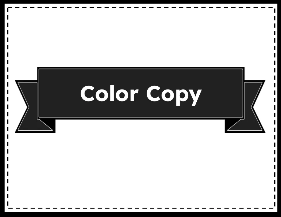 Color Copy section divider introducing the printable color versions of the PYP attitude display strips