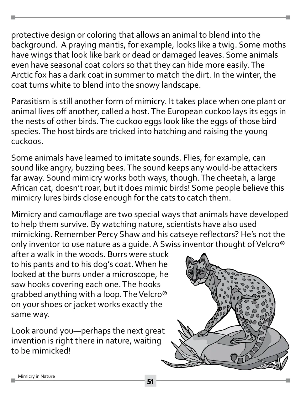 Article part 2: camouflage, cuckoo egg parasitism, sound mimicry by flies and cheetahs, and Velcro from burrs