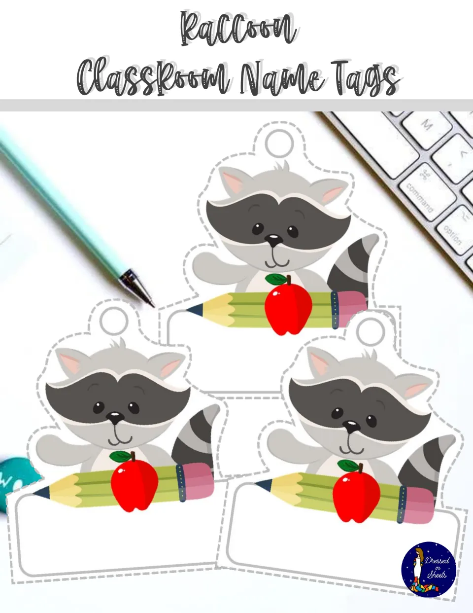 Raccoon Classroom Name Tags cover: three cartoon raccoon tags holding a pencil and red apple, each with a blank name space