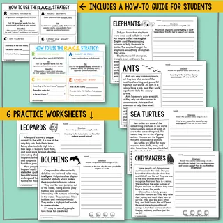 R.A.C.E. Strategy Practice: Animals Worksheets – sample page 3