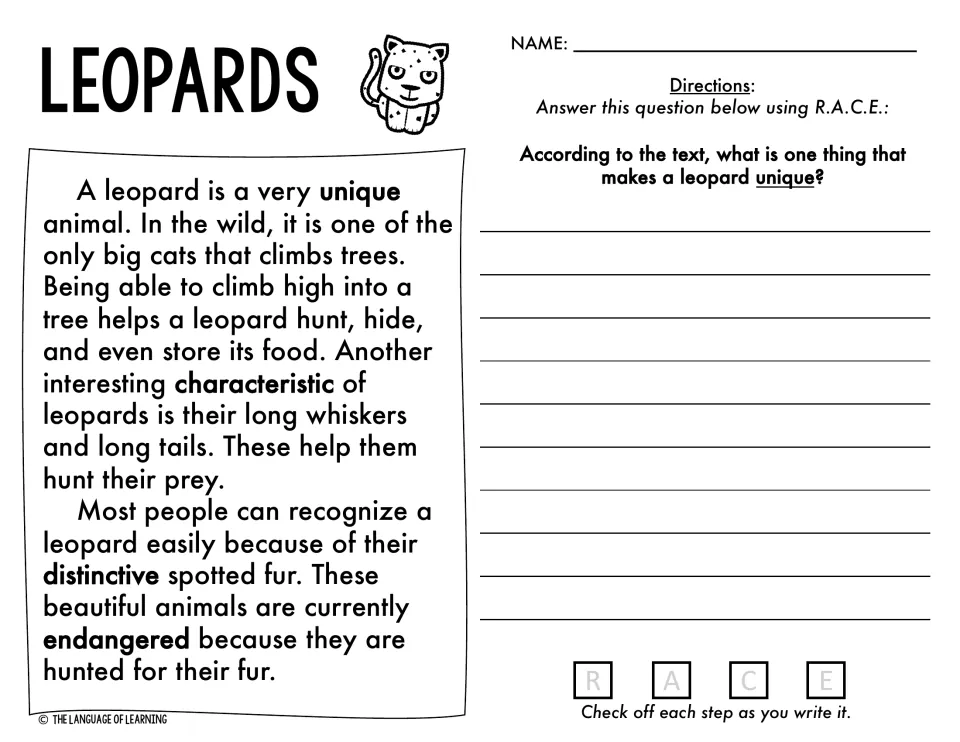 Leopards passage on tree climbing and spotted fur: students use R.A.C.E. to explain what makes a leopard unique