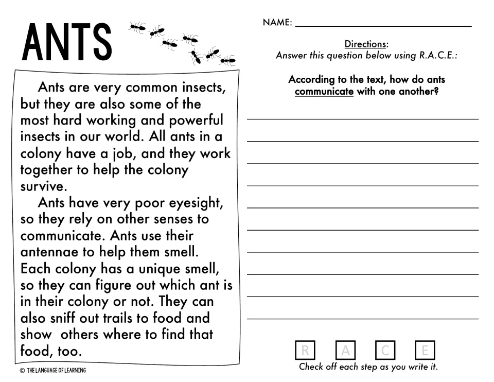 Ants passage on colonies and smell: students write a R.A.C.E. response on how ants communicate with one another